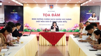 Renforcer les politiques et les régimes de médiation de base