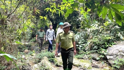 មន្ត្រី​អនុរក្ស​ព្រៃឈើ​តំបន់​ទី​៤ ប្ដេជ្ញា​ថា​មិន​បណ្តោយ​ឱ្យ​ភ្លើង​ឆេះ​ព្រៃ​ឡើយ