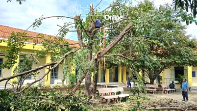 Hoa Tri kommun reagerar proaktivt på storm nr 15