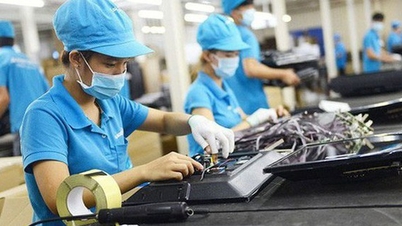 Συμβουλευτική για διατομεακή νομική υποστήριξη για μικρές και μεσαίες επιχειρήσεις