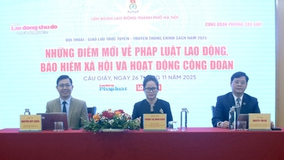 ការដោះស្រាយ និងឆ្លើយសំណួរអំពីគោលនយោបាយ និងបទប្បញ្ញត្តិទាក់ទងនឹងនិយោជិត បន្ទាប់ពីការរៀបចំឡើងវិញ និងការរួមបញ្ចូលគ្នា