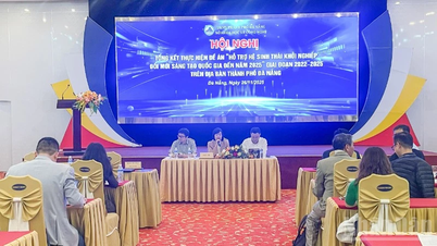 Da Nang bertujuan untuk menjadi pusat inovasi dan permulaan antarabangsa