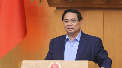 Pulihkan mata pencaharian dengan cepat dan dorong pemulihan produksi dan bisnis