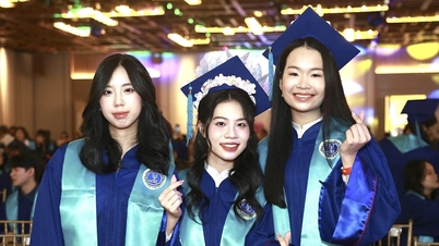 Fast 130 Schulen bilden Ärzte und Juristen aus – wie lässt sich das verbessern?