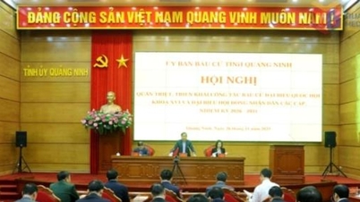 Quang Ninh: Pahami dengan teliti dokumen arahan dan laksanakan pemilihan timbalan Dewan Negara dan Dewan Rakyat.