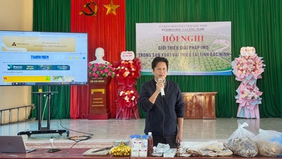 IMO çözümüyle liçi üretim verimliliğinin artırılması