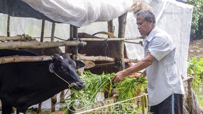 Küçük modellerden değişim