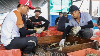 ប្រជាពលរដ្ឋ​ត្រូវ​បាន​ណែនាំ​ឱ្យ​ប្រញាប់​ប្រមូល​ផល​វារីវប្បកម្ម​ដែល​មាន​ទំហំ​ពាណិជ្ជកម្ម។