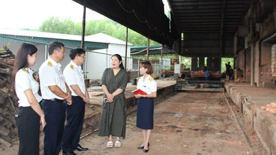 গত বছরের একই সময়ের তুলনায় ভূমি ব্যবহার ফি আদায় ২.৩ গুণ বৃদ্ধি পেয়েছে।