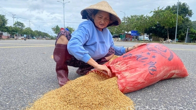 يقوم الناس بإخراج الأرز ليجف على أمل إنقاذه بعد الفيضان.