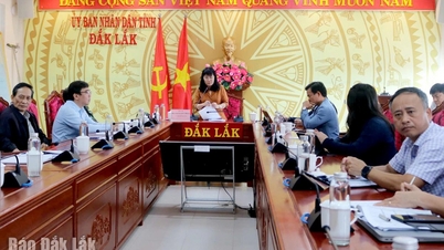 Προετοιμασία σχεδίων αντιμετώπισης για την καταιγίδα Νο. 15