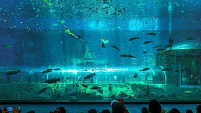 Phu Quoc: VinWonders، Safari اور Grand World کو دریافت کرنے کے لیے گائیڈ