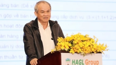 HAGL vượt 'bão nợ', hướng tới bứt phá với cà phê, dâu tằm, chuối, sầu riêng