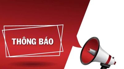 Первая сессия ревизионной комиссии провинциального комитета партии Ламдонг, первый семестр