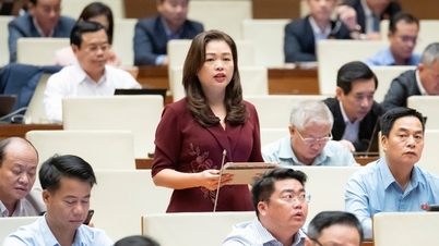 언론법(개정): 언론인 보호를 위한 법적 틀 완성