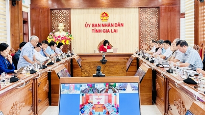 The Provincial People's Committee held a meeting to deploy the National Tourism Year 2026 and restore tourism after natural disasters.