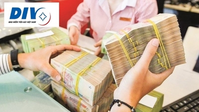 Hoàn thiện quy định về hoạt động kiểm tra của Bảo hiểm tiền gửi: Bảo vệ người gửi tiền từ sớm, từ xa