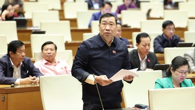 Podporovat socializaci národních rezervních statků, snížit zátěž státního rozpočtu