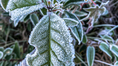 Y Ty លេច​ចេញ​ទឹក​កក ព្រៃ​ឈើ​ស្អាត​អស្ចារ្យ