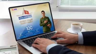 យុទ្ធសាស្ត្រពង្រីកប្រព័ន្ធអេកូពហុស្រទាប់របស់ MB