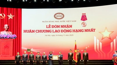 O movimento de emulação patriótica do setor bancário contribui para a implementação de estratégias nacionais de crescimento sustentável.