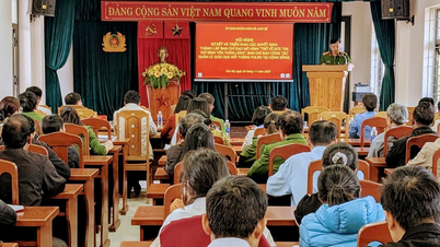 צ'ו סה הקים קבוצת ייעוץ לניהול וחינוך של מקצועות FULRO.