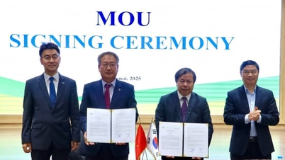 וייטנאם - קוריאה: חיבור טכנולוגיה לפיתוח חקלאות בת קיימא