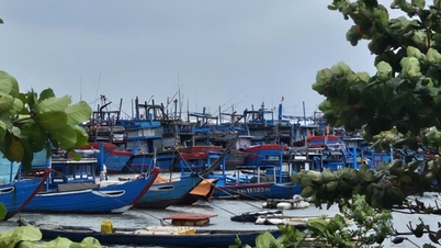 Central localities proactively respond to storm No. 15