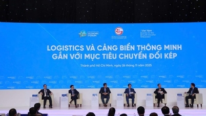 Para ahli menyarankan Vietnam untuk menjadi pusat logistik terkemuka di Asia