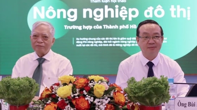 Хошимин стремится внедрять инновации в сельском хозяйстве для устойчивого развития