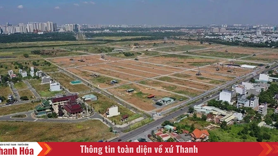 จัดตั้งกลุ่มงาน 10 กลุ่มลงพื้นที่ตำบลและแขวงโดยตรงเพื่อเร่งรัดการปรับปรุงและทำความสะอาดข้อมูลที่ดิน