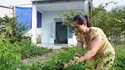 Nieuw leven uit wil en vastberadenheid
