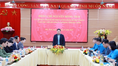 Потужні інновації, залучення працівників до найпрактичніших видів догляду