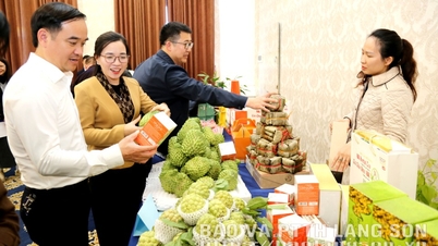 Menggabungkan pengembangan OCOP dan pariwisata: Menyebarkan nilai bagi produk lokal