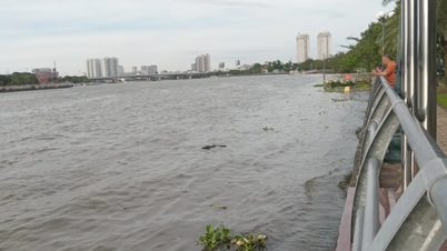 ויסות פעיל של פעילות המאגרים כדי להבטיח בטיחות במורד הזרם.
