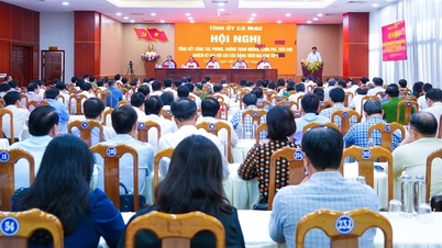 カマウ氏は、第13回党大会期間中の腐敗、浪費、悪質行為の防止と撲滅に向けた取り組みを総括する。