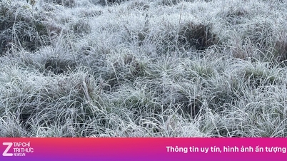 Mráz pokrývá Y Ty, hosté spěchají s rezervací pokojů