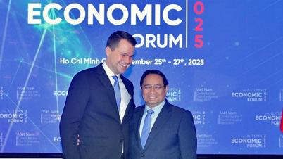 Премьер-министр Фам Минь Чинь принял ряд международных делегатов, участвовавших в Осеннем экономическом форуме 2025 года.