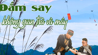 រីករាយក្នុងចន្លោះនៃតែ និងពពក