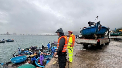 דא נאנג מבקשת בדחיפות לנקוט באמצעים כדי להגיב לסופה מספר 15.