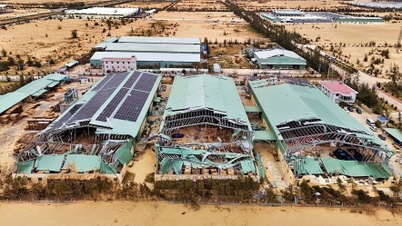 Khẩn trương hỗ trợ người nộp thuế bị tổn thất do bão lũ