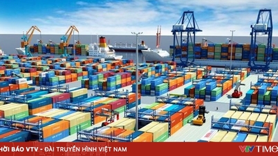 Очікується, що імпортно-експортний оборот у 2025 році досягне рекордних понад 900 мільярдів доларів США.