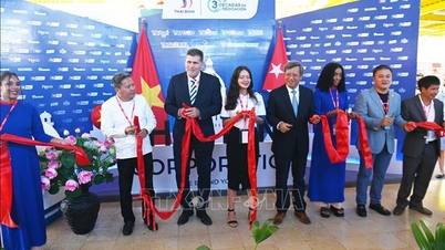 شرکت‌های ویتنامی متعهد به سرمایه‌گذاری بلندمدت در کوبا شدند