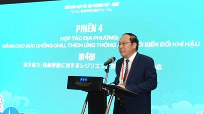 វៀតណាម-ជប៉ុនពង្រីកកិច្ចសហប្រតិបត្តិការក្នុងតំបន់លើការបន្ស៊ាំបម្រែបម្រួលអាកាសធាតុ