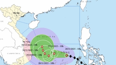 2 សេណារីយ៉ូនៃព្យុះ Koto (ព្យុះលេខ 15)