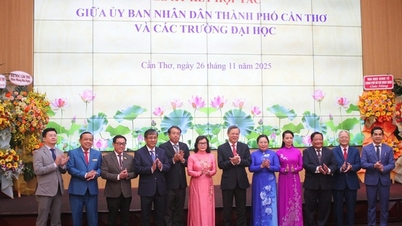 Can Tho, yaşanabilir bir şehir olma hedefi için 6 üniversiteyle "el ele" veriyor