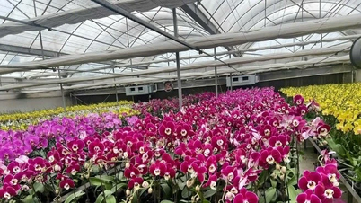 High technology application - new direction for Hanoi agriculture