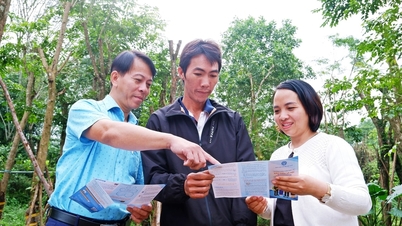 បន្តលើកទឹកចិត្តដល់គ្រួសារអាជីវកម្មនីមួយៗឱ្យចូលរួមក្នុងការធានារ៉ាប់រងសង្គម។