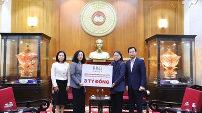 קבוצת BRG ו-SeABank תורמות 5 מיליארד וונד לתמיכה בהתאוששות מאסונות טבע