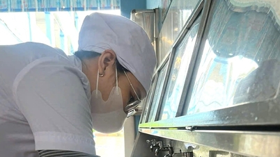 Cam Le Ward entnimmt Proben zur Überprüfung von Lebensmittelsicherheitsindikatoren auf Märkten und in Schulen.